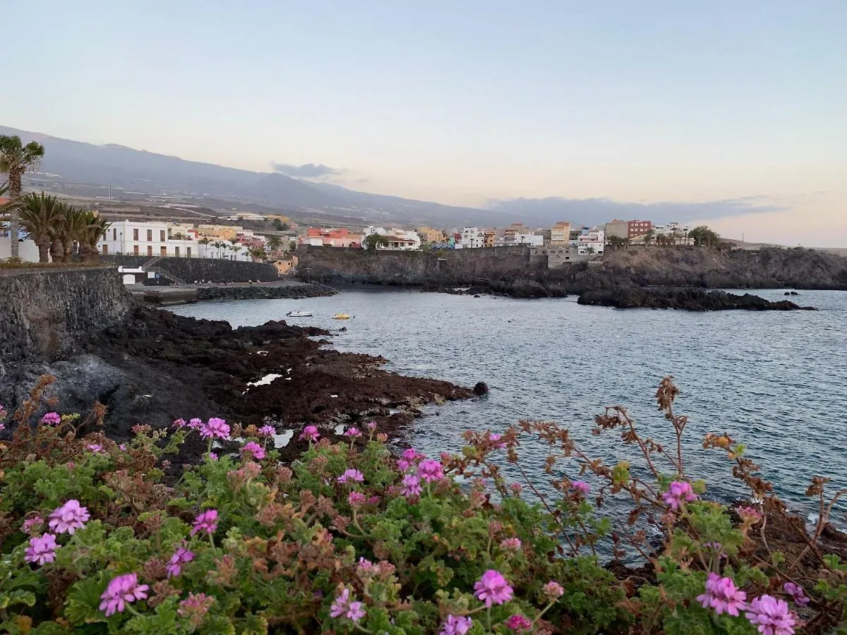 Alcala Center A 5 Minutos Del Paseo Y Playas Διαμέρισμα