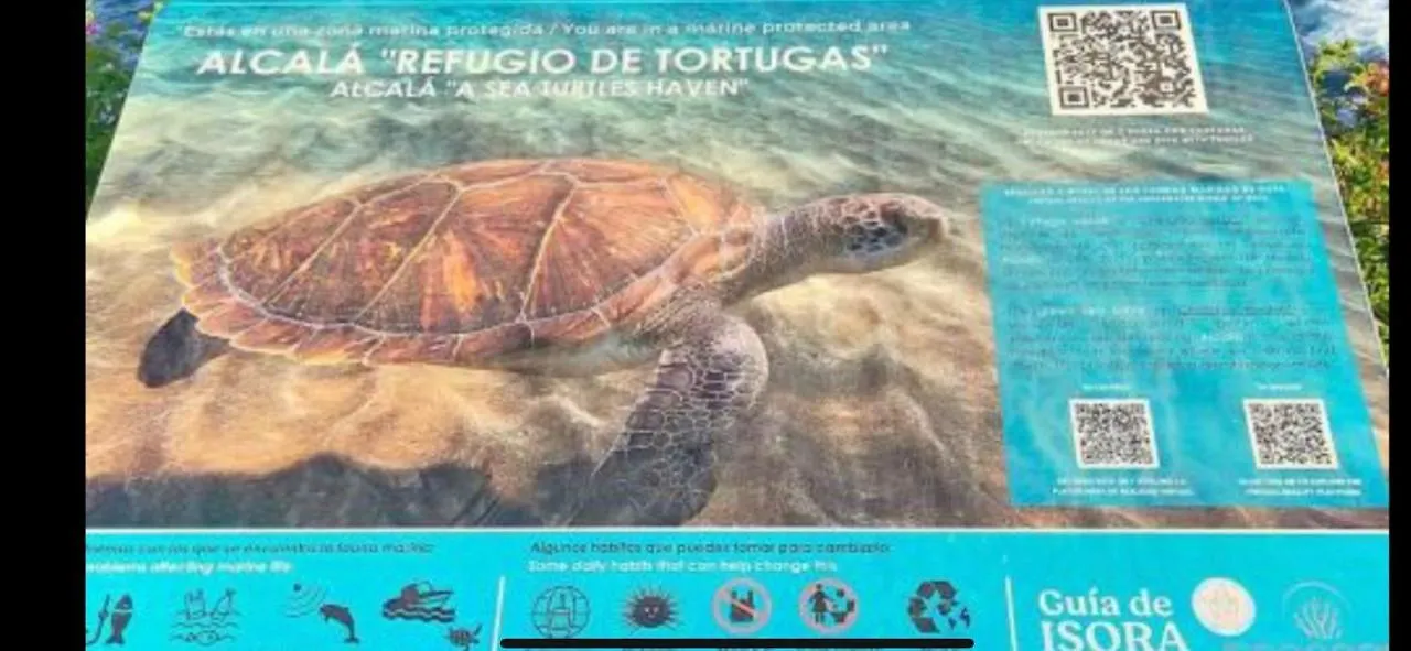 Ferienwohnung Alcala Center A 5 Minutos Del Paseo Y Playas Alcalá la Real
